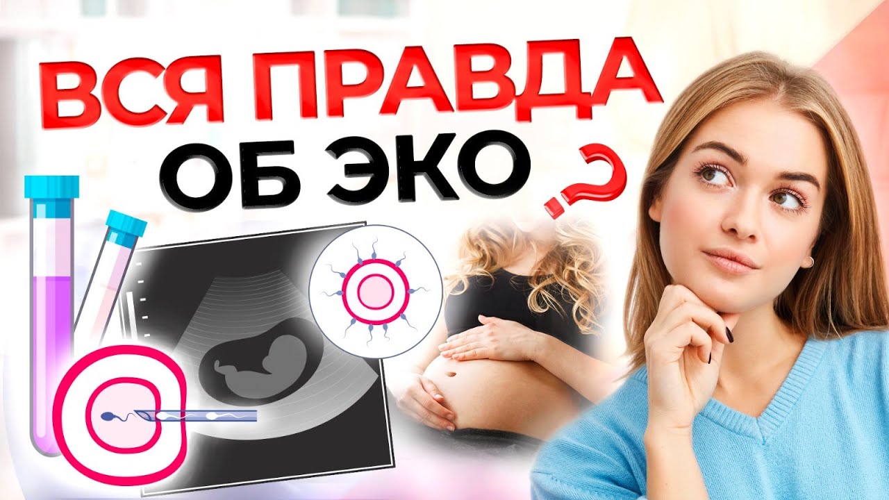 Процедура ЭКО: как проходит, основные этапы