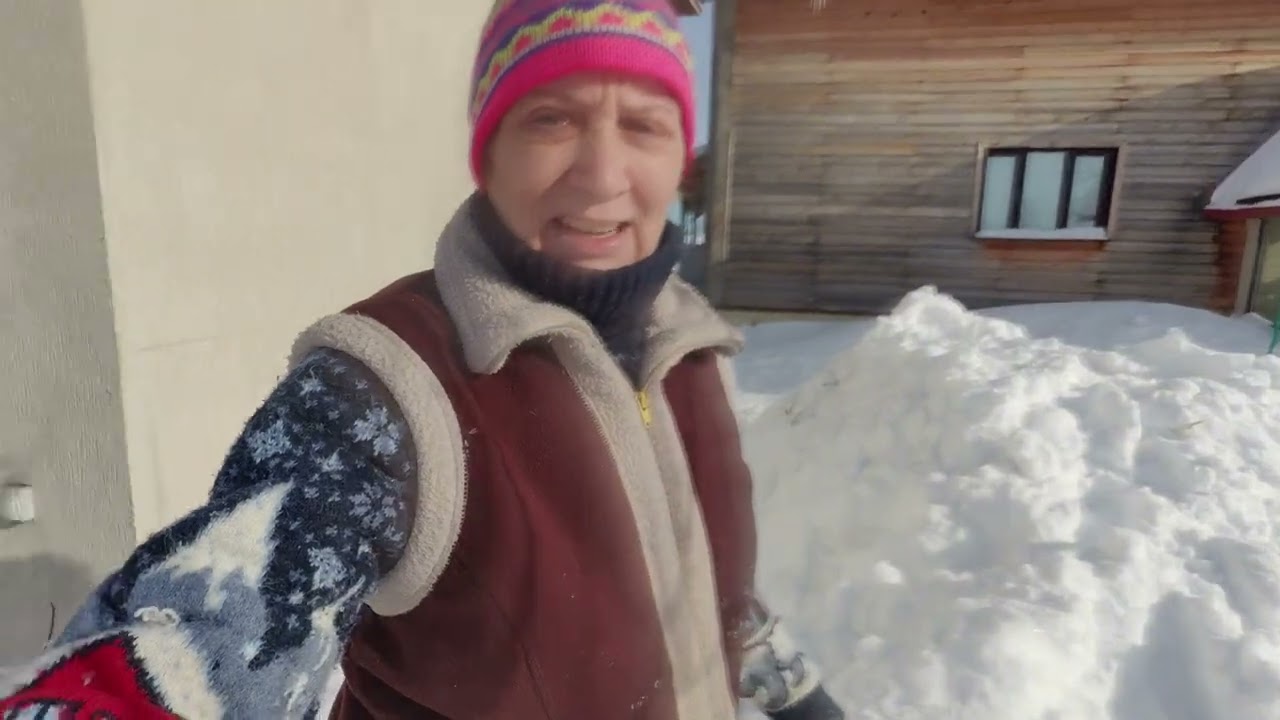 Дональд (наш пёс) помогает чистить снег
