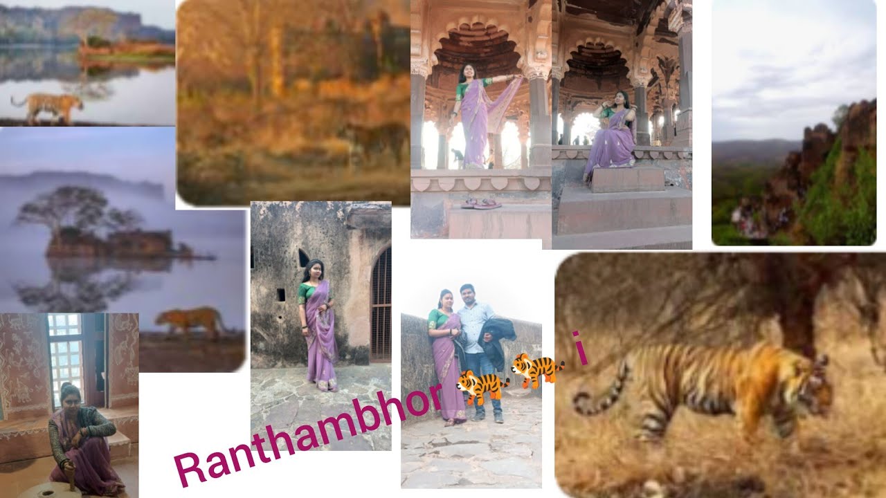 Ranthambhor 🐅🐅🐅🐅🐅🐯