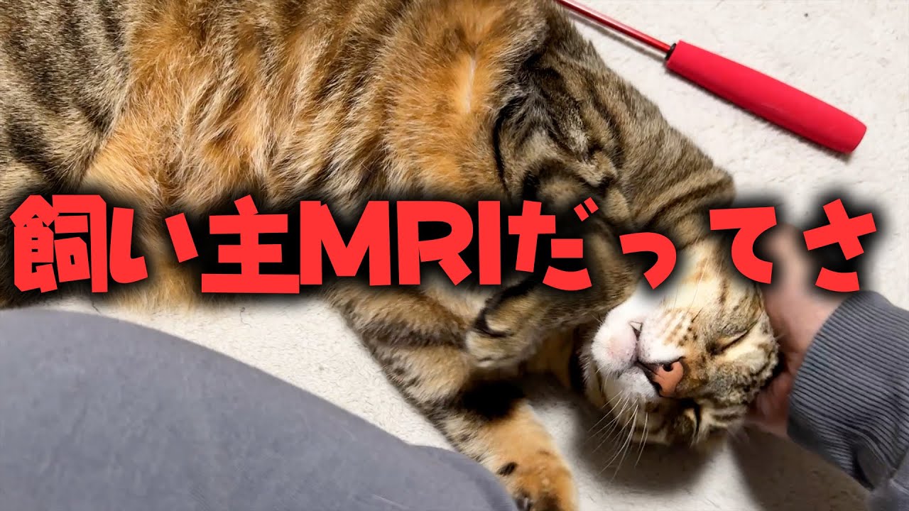 MRIで精密検査することになりました。