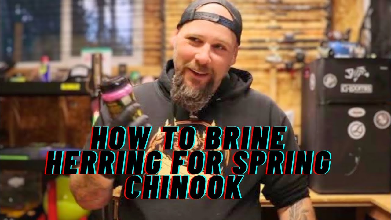 Spring Chinook Herring Brine Recipe