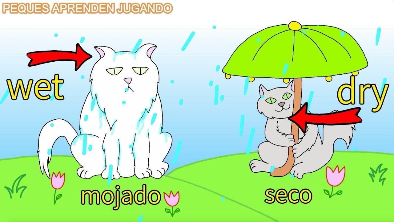Antónimos en inglés para niños contrarios   opuestos  Opposites video  Peques Aprenden Jugando