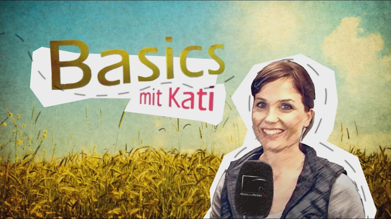 Basics mit Kati - Kommunikation Staffel 4, Folge 1