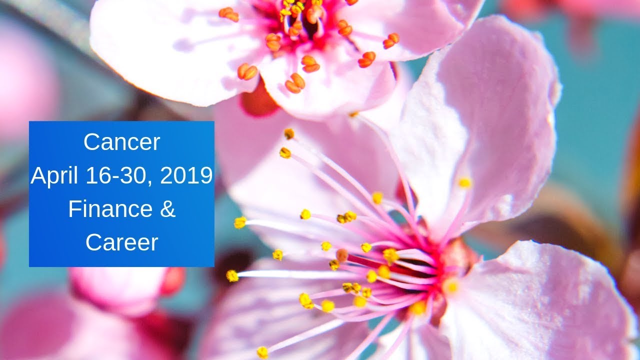 Cancer April 16-30, 2019 ~ People See Your Worth ~ Finance & Career Tarot Reading
