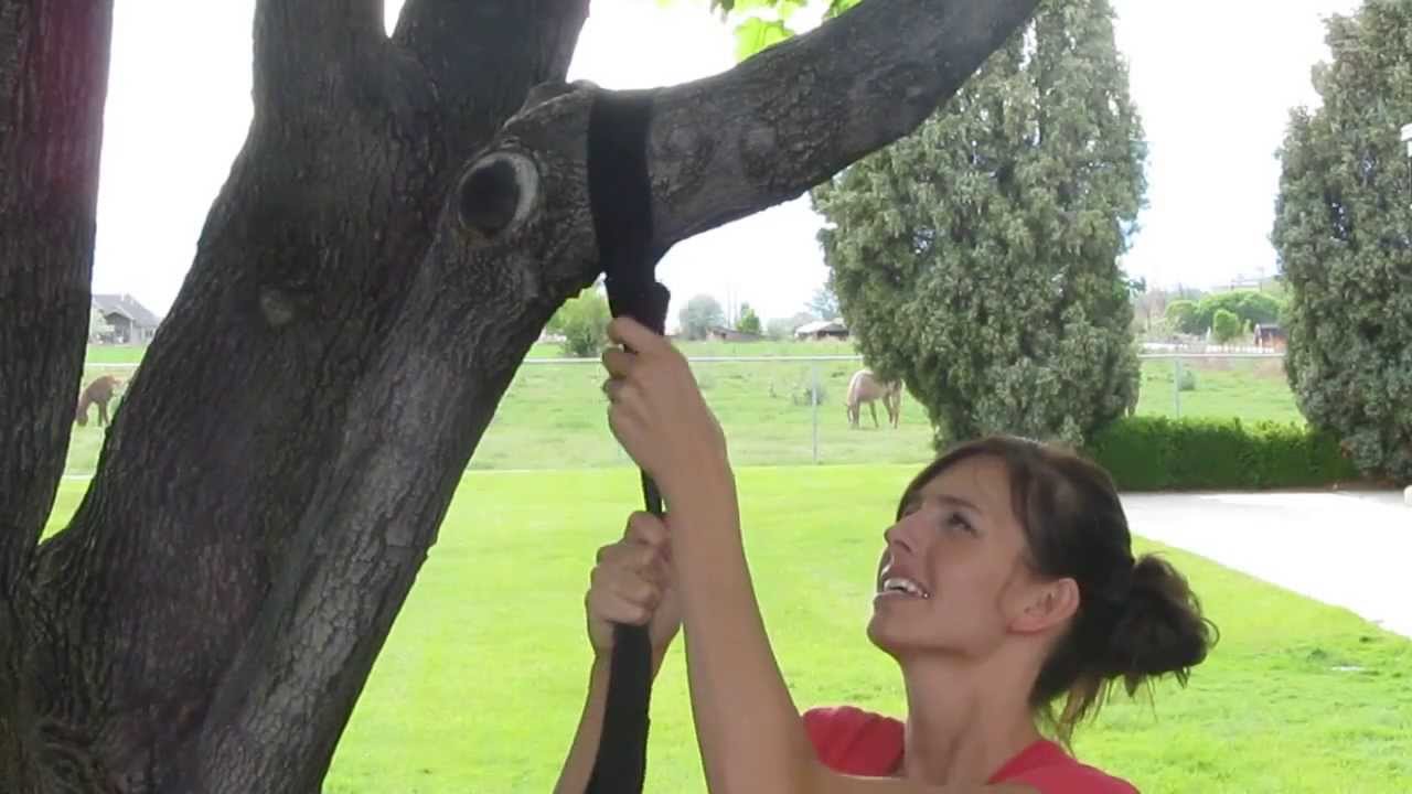 Using a Tree Swing Hanging Strap Option #2