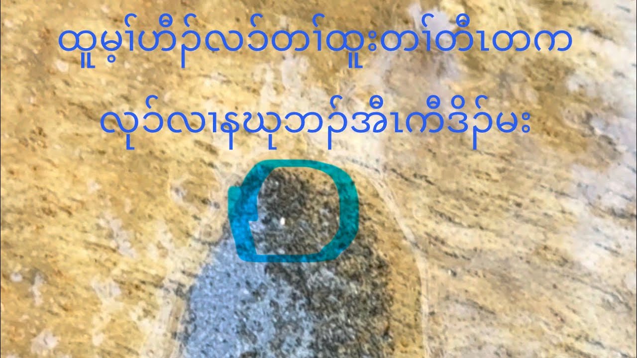 ဒီတနံၤထံၣ်န့ၢ်ကီထူတလိၥ်မဲၥ်ချံဘူးကဖျိးထီၣ်ဟီ