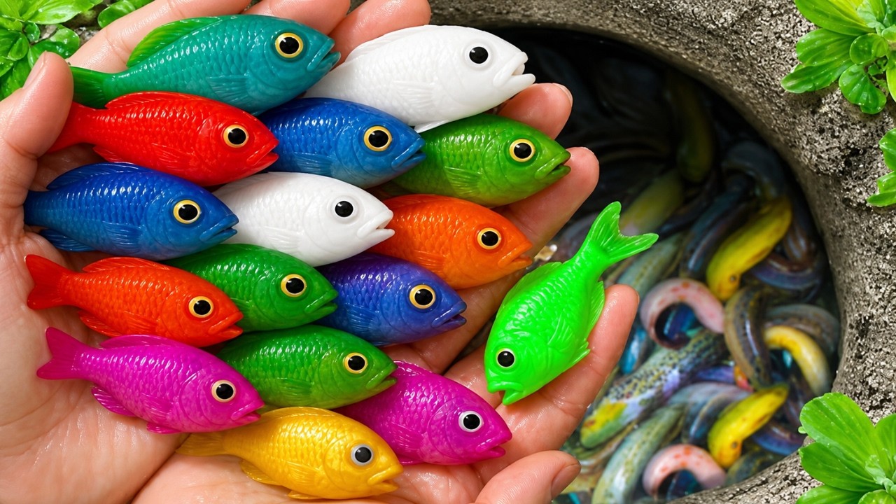 Hidden Pond Mystery | Amazing Rare Fish Discovery!