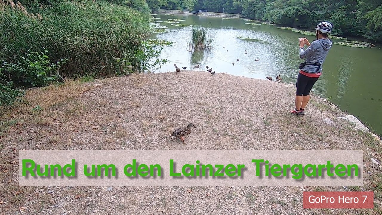 Radfahren im Wienerwald und in Wien - GoPro 7 testen und Infos zum Lainzer Tiergarten