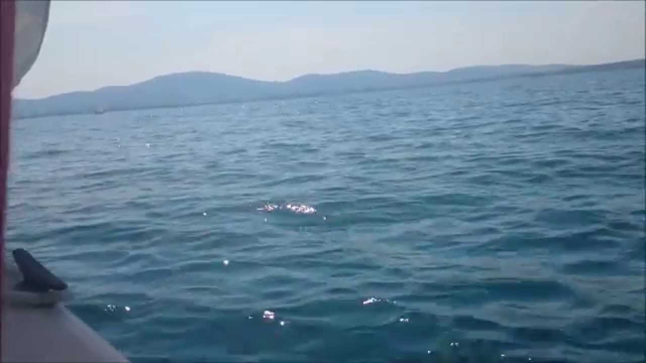 Laser 16 sailing   Sozopol