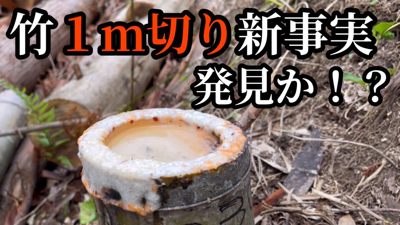 【必見！】竹１m切り新事実発見か！？