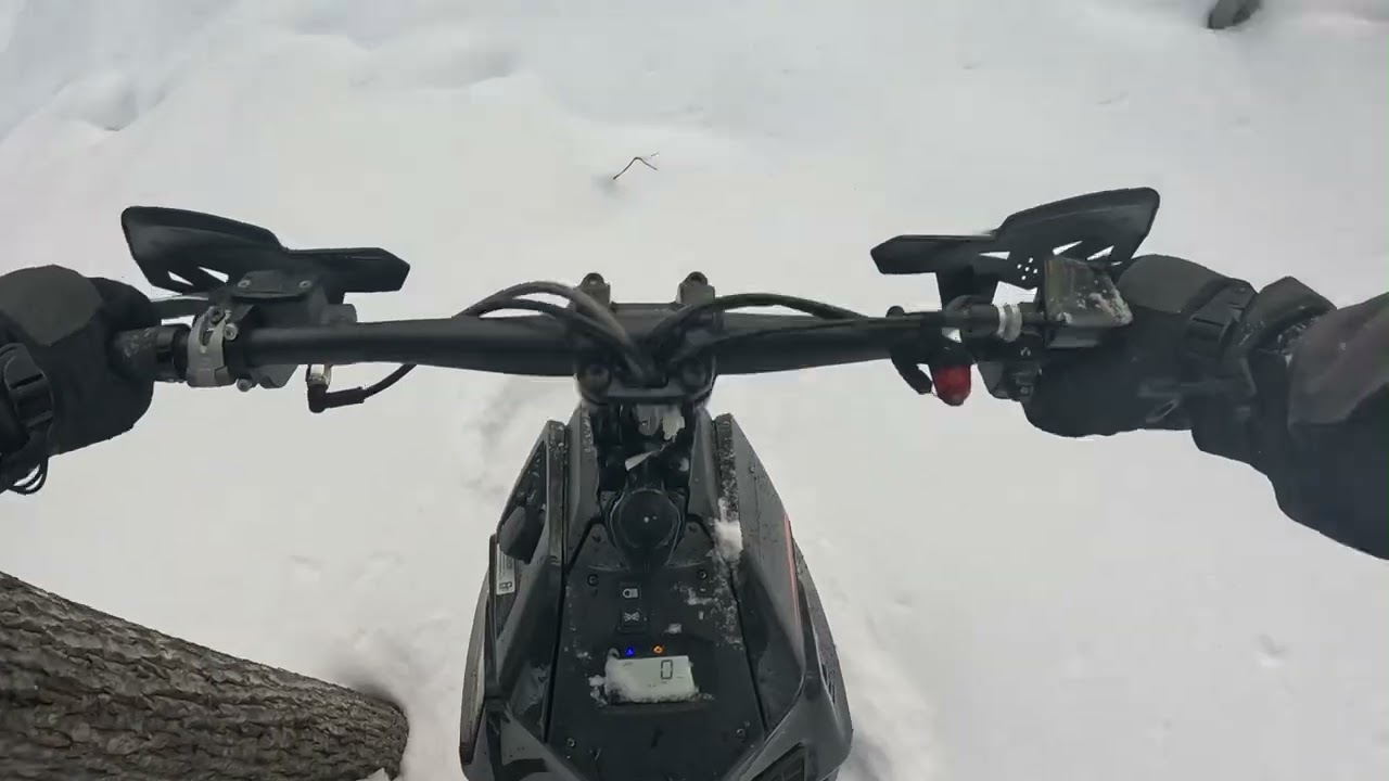Widescape - Slow Tree Ride