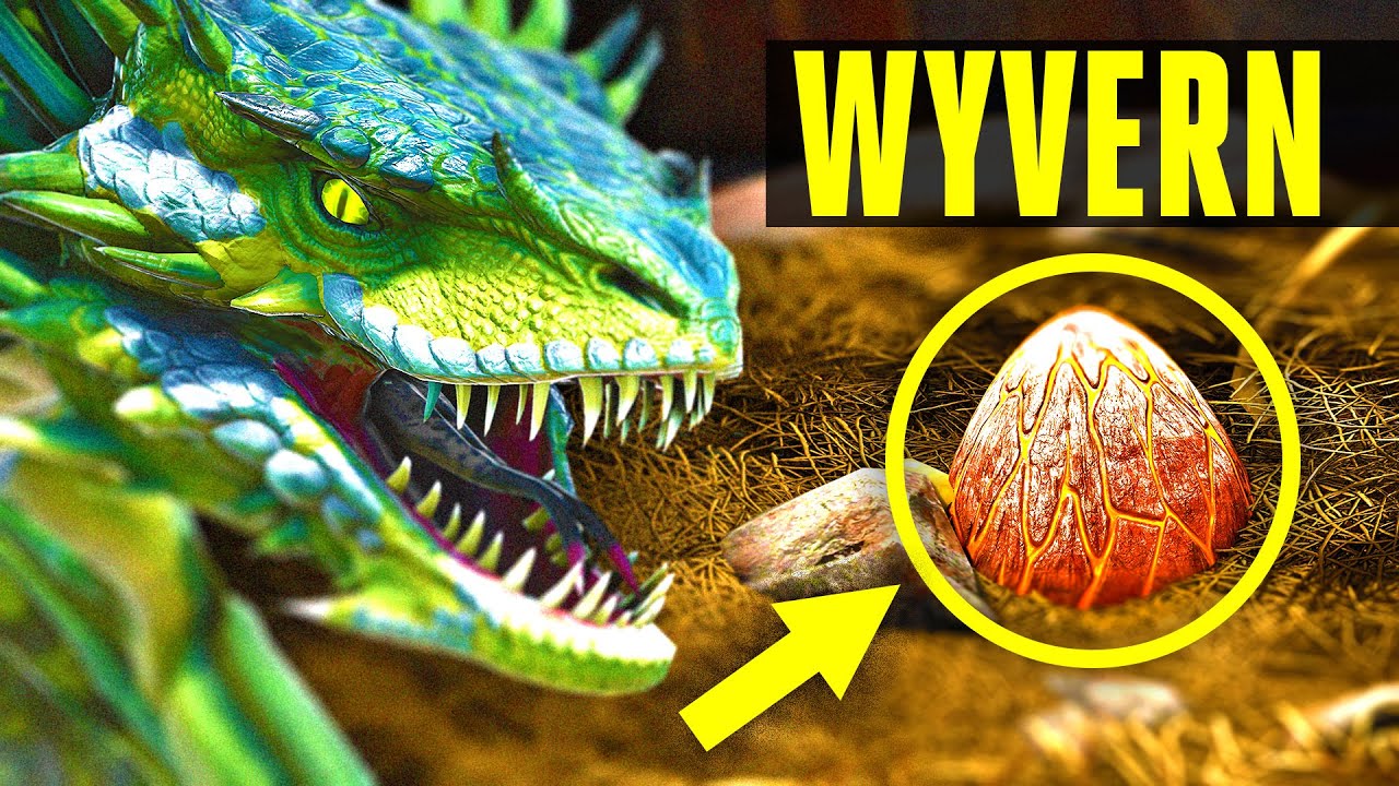 Wyvern - How to tame/Where to find eggs - EVERYTHING YOU NEED TO KNOW! (ARK: Scorched Earth)