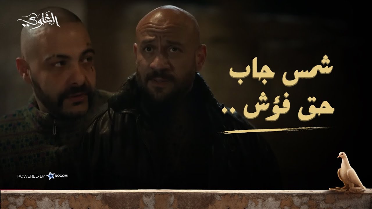 شمس راح يجيب حق فؤش من الخواجة.. شوف عمل ايه 🔥 #الغاوي