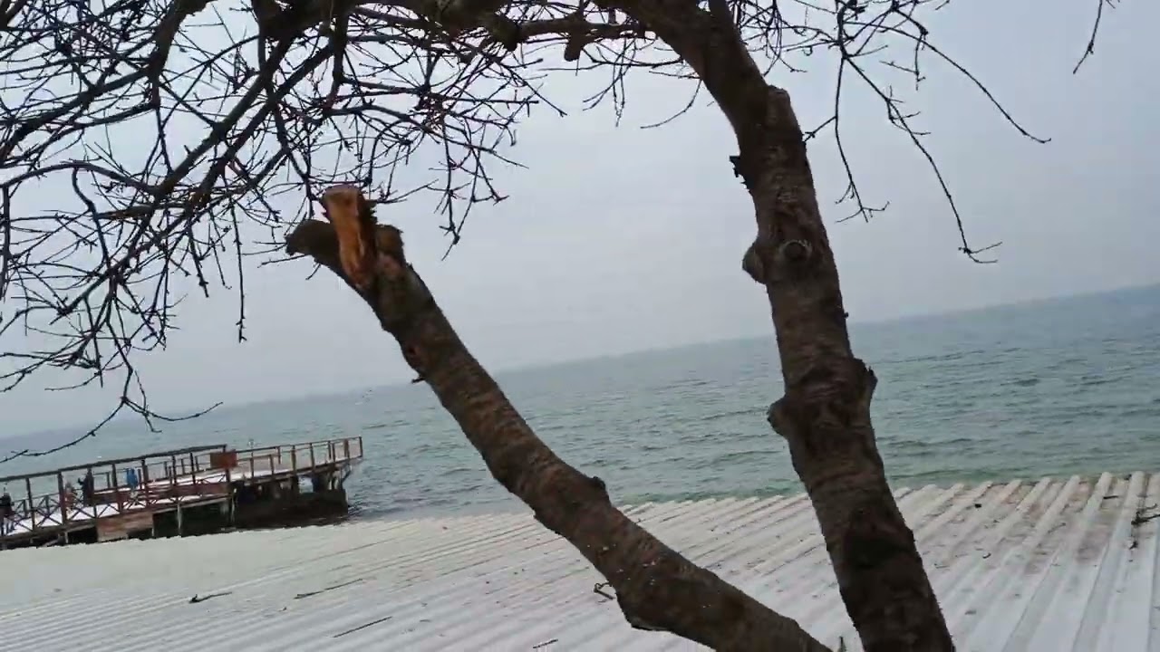 Море Отрада 