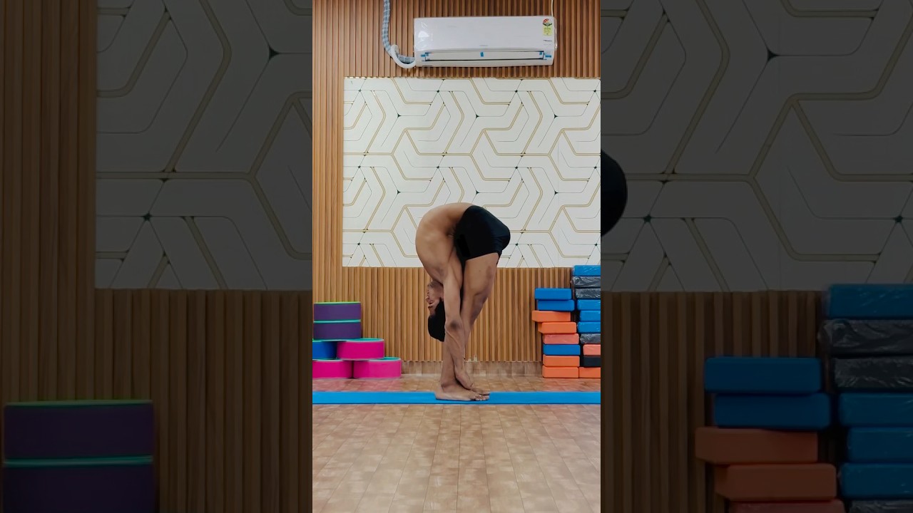 Dimbhasana #youtube #yogasana #shorts #trending