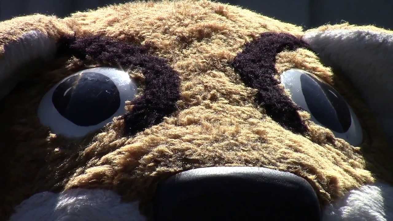 WSU Baseball and Butch T. Cougar - The Sandlot