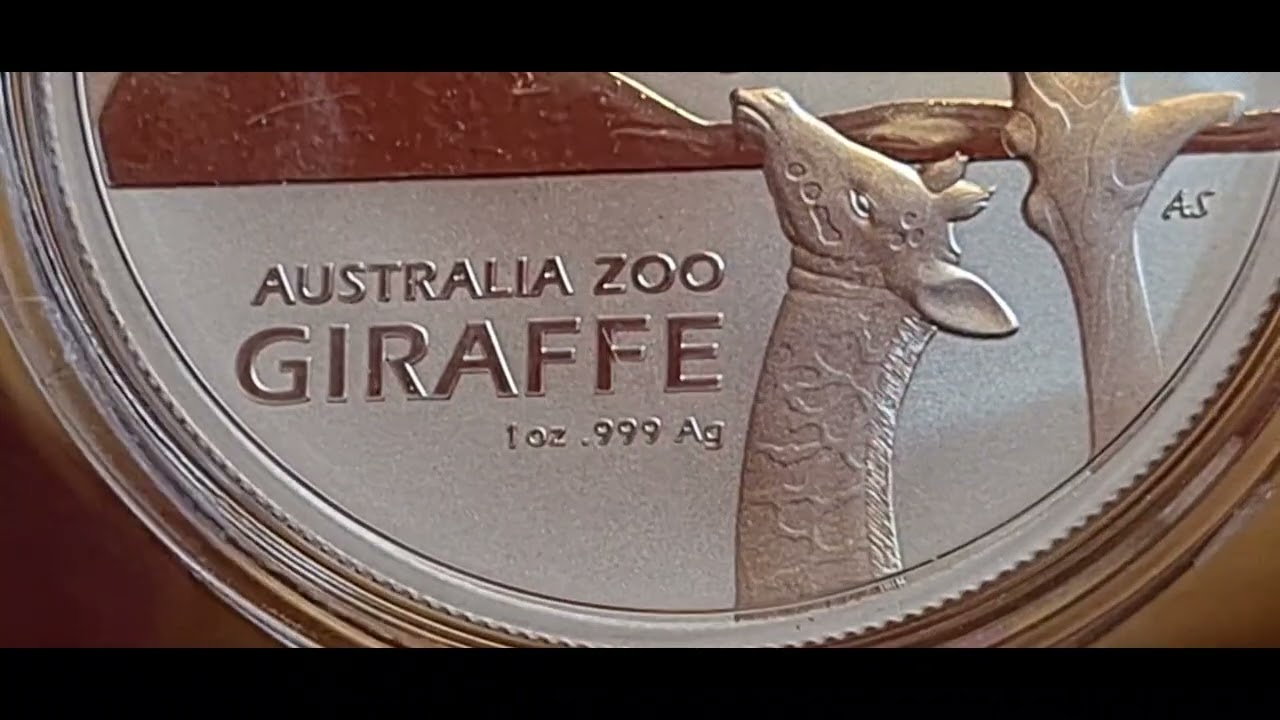 Giraffe Australia Zoo Ram 1oz Silver Bullion Coin 2024