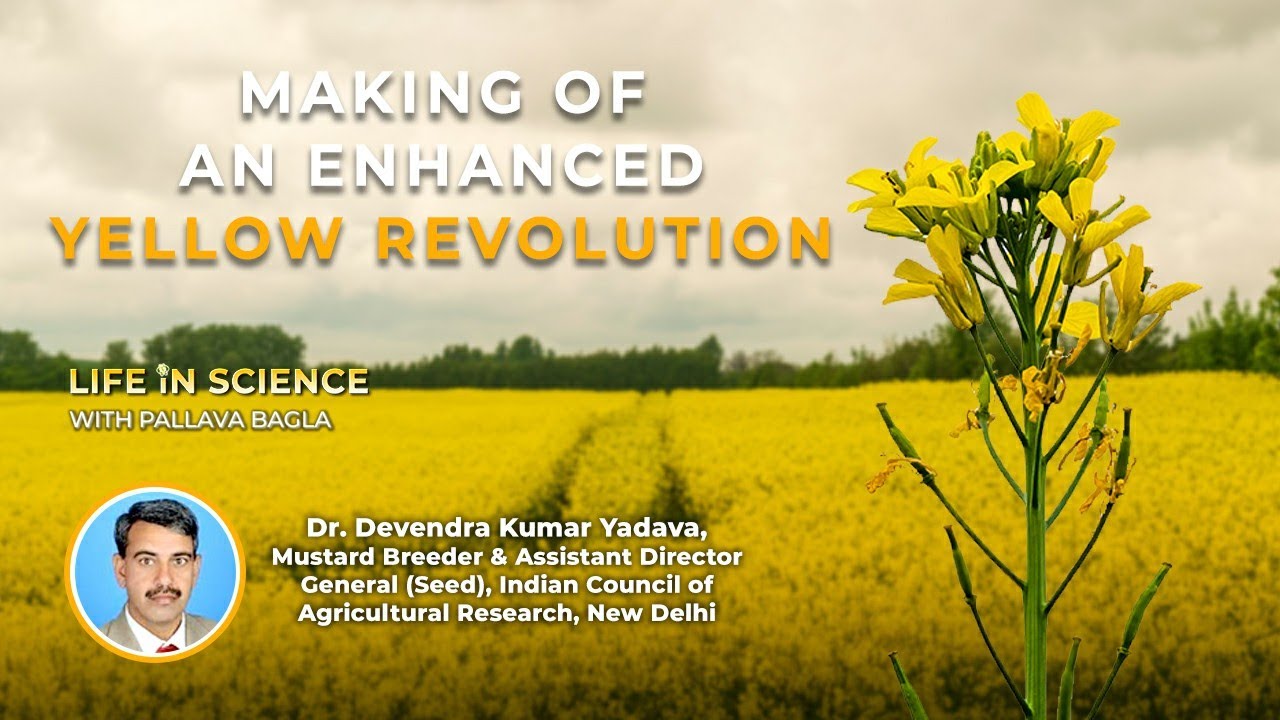 Promo - Making of an Enhance Yellow Revolution