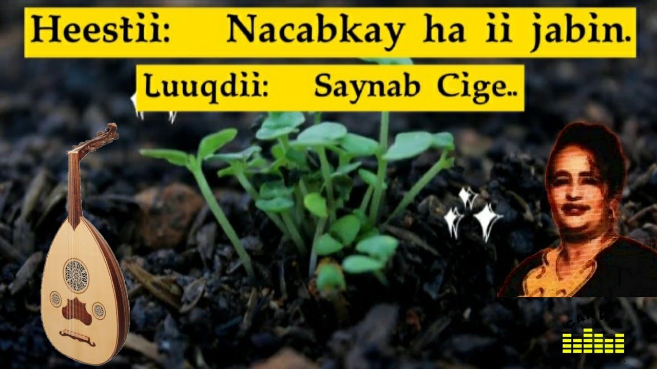 Saynab Cige| Nacabkay ha ii jabin|| Lyrics.