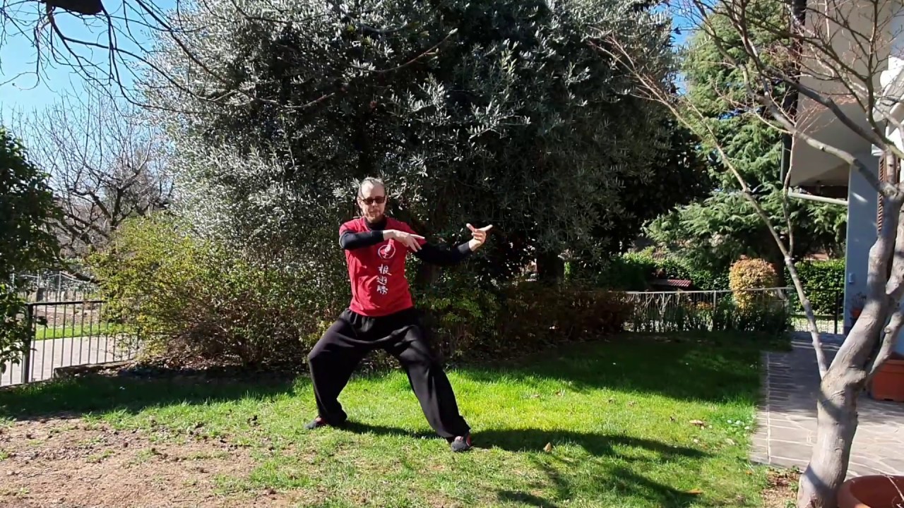 Tai Chi Chuan Ti San Lu - Forma Yang 108