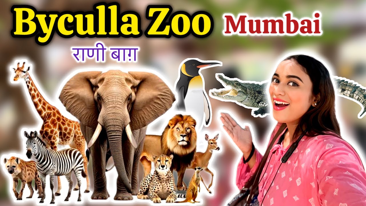 Byculla Zoo Mumbai | Full Tour 2025 | Elephant Ab Nahi Rahi | Full Guide | Rani Baugh Zoo Byculla