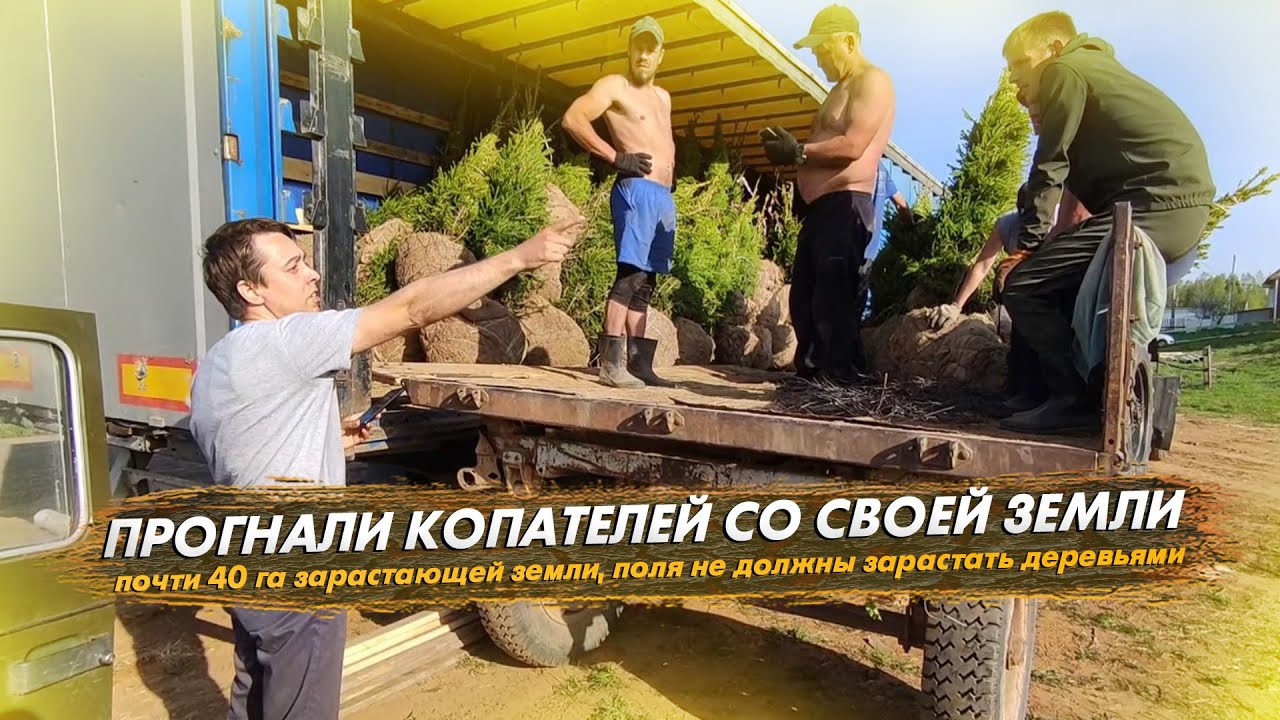 Возвращаем в оборот почти 40 га зарастающей земли! Как прогнали копателей елок со своей земли!