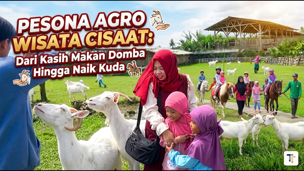 Mengintip Pesona Agro Wisata Cisaat: Dari Kasih Makan Domba Hingga Naik Kuda