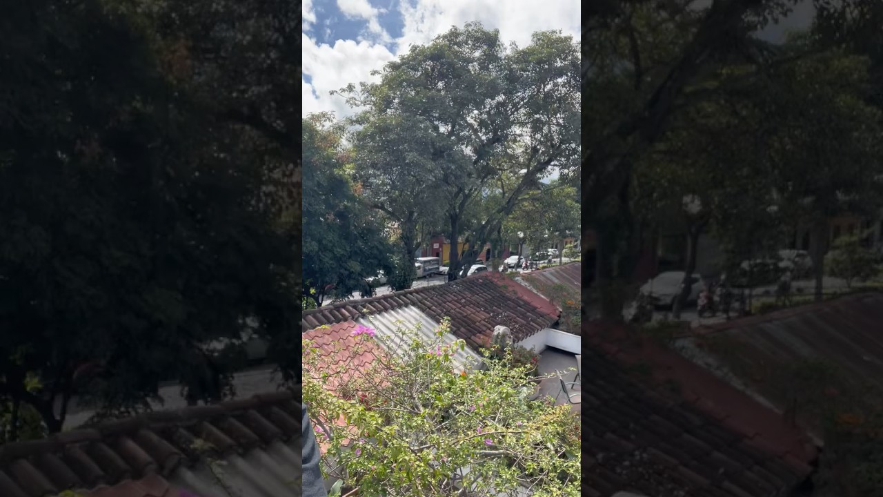 How To Get More Listings Every Month Fast!