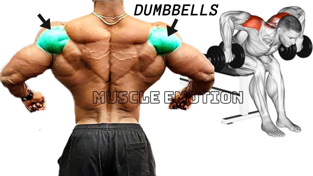 5 BEST REAR DELTOID EXERCISES WITH DUMBBELLS  ONLY AT HOME