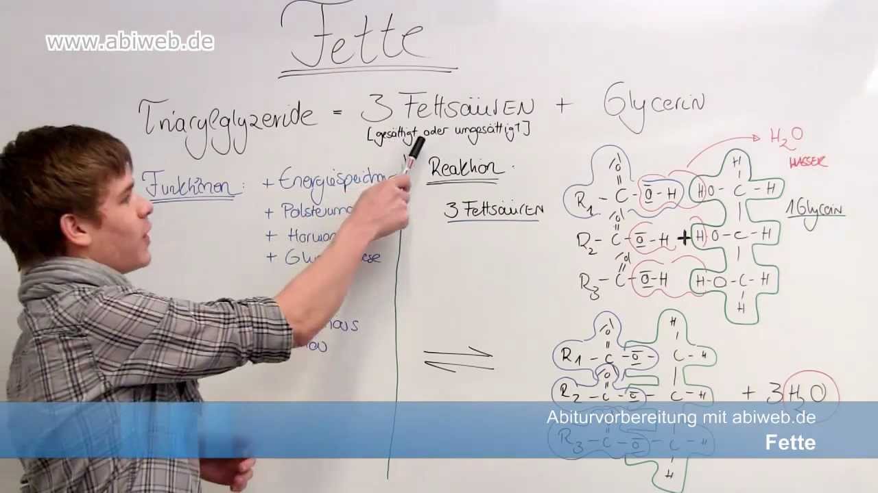 Fette - Aufbau und Beispiele - Abitur Chemie