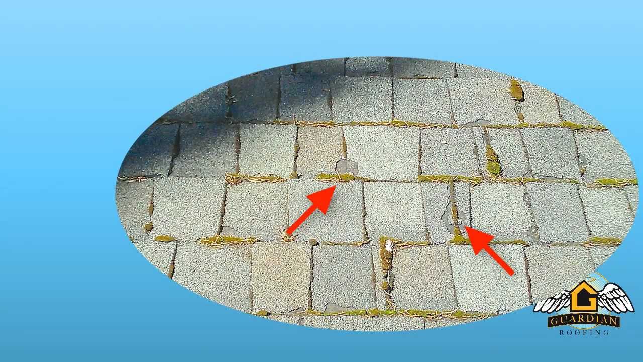 Roof Cleaning Seattle | Roof Repair Seattle (206) 866-6331