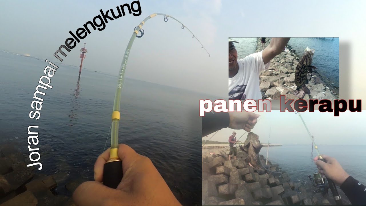Mancing laut pinggiran di Ancol Jakarta Utara dermaga 22 panen ikan kerapu 