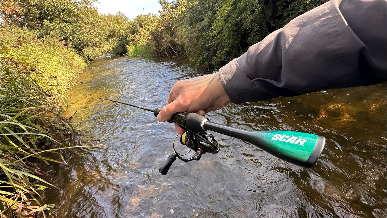Рыболовный турнир TEMU Fishing Rod Challenge за 12 долларов 🎣 | Бюджетное рыболовное приключение
