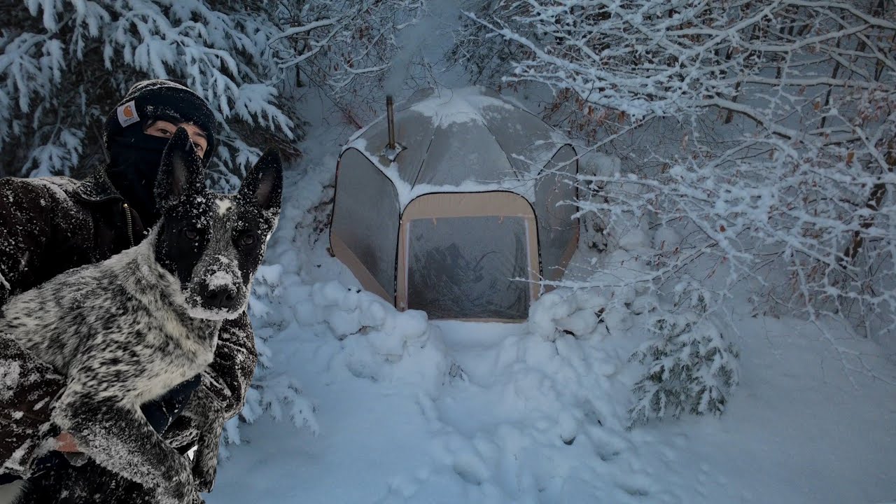Winter Camping With Dog | Transparent Hot Tent