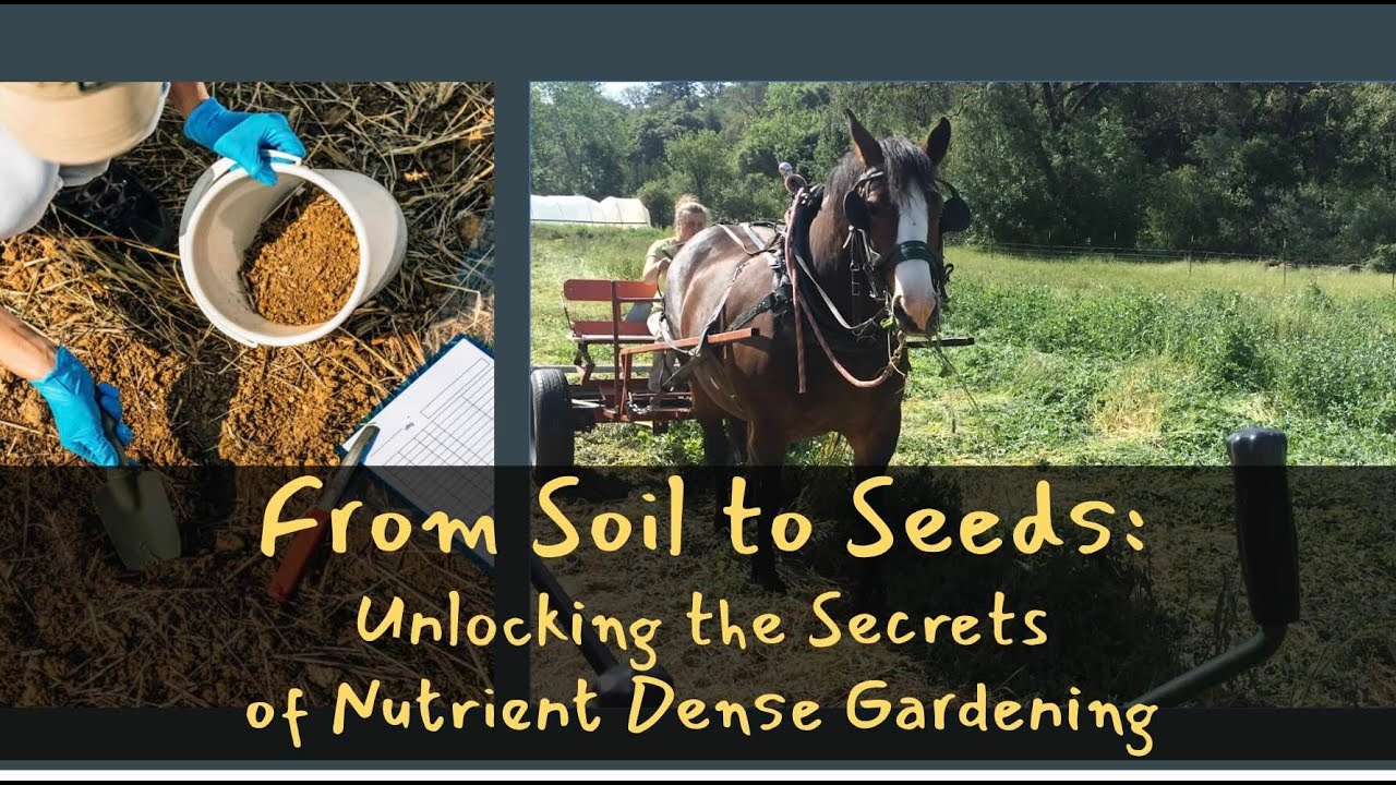 From Soil to Seeds: Unlocking the Secrets of Nutrient Dense Gardening