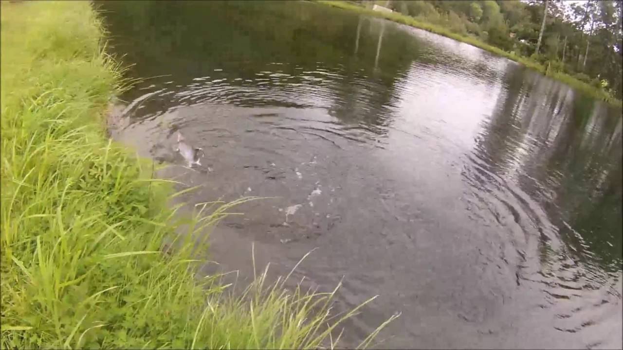 Bredsten fiskes&oslash; 15 08 2016