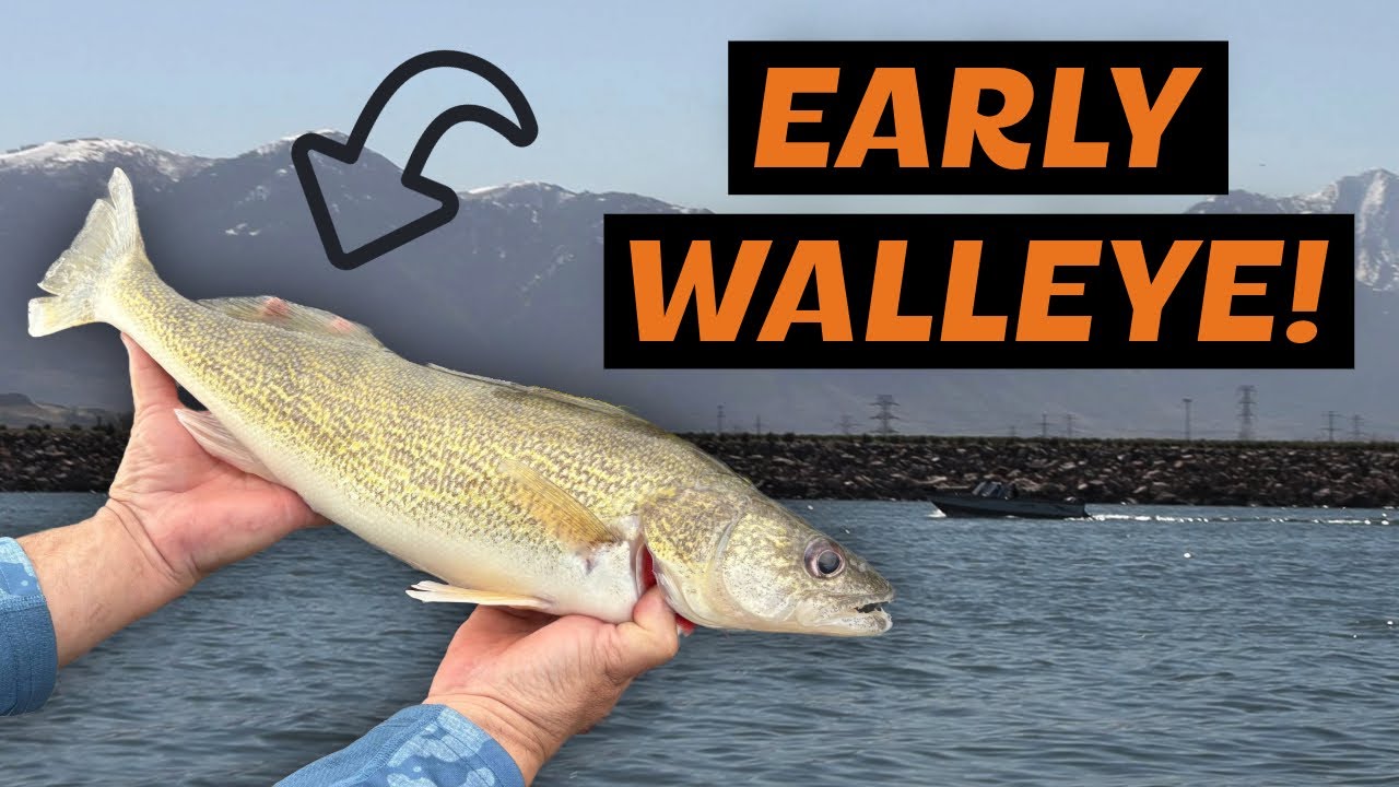 Early April Walleye Challenge at Willard Bay | Fishing with the Walleye Whisperer