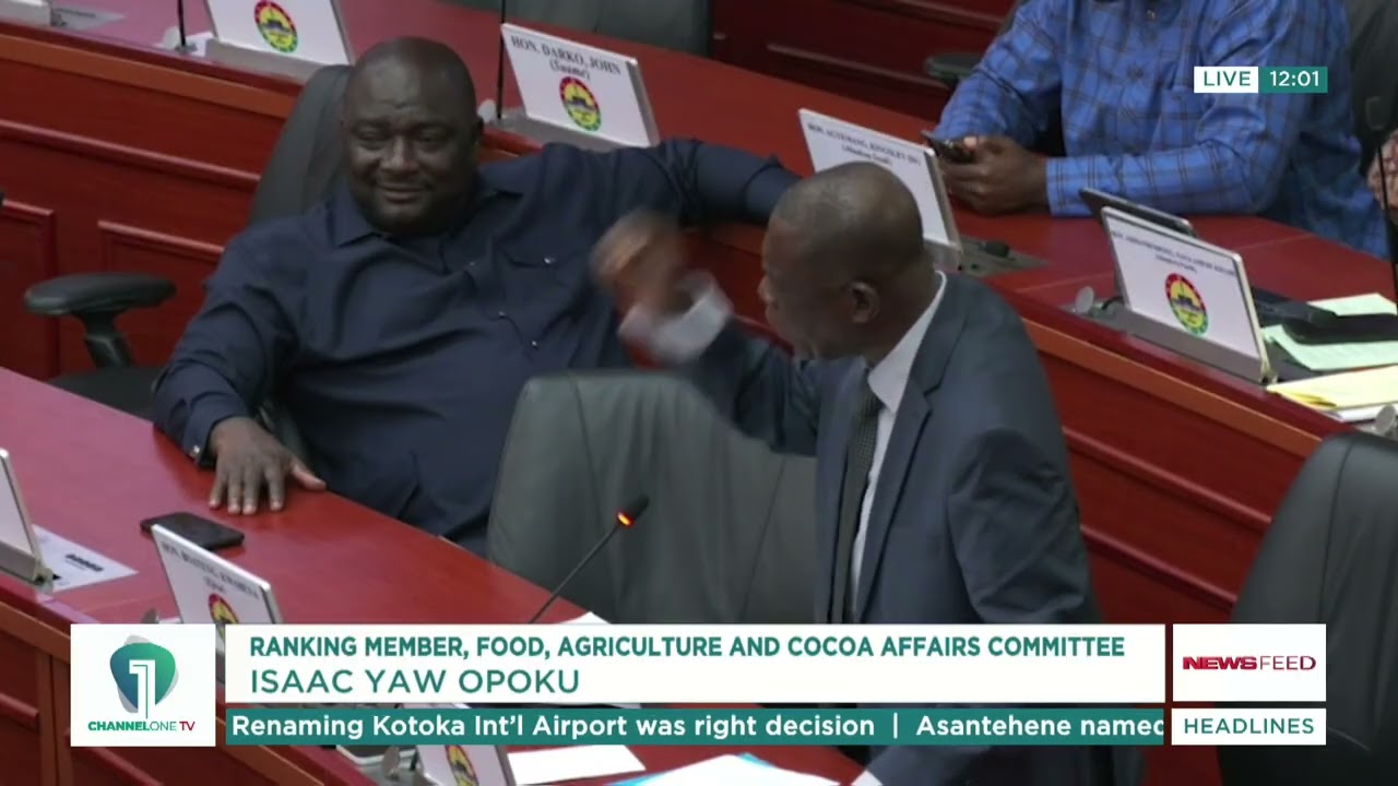 Cocoa Farmers Payment Delay Sparks Outrage: Minority Questions Govt Despite Price Reduction