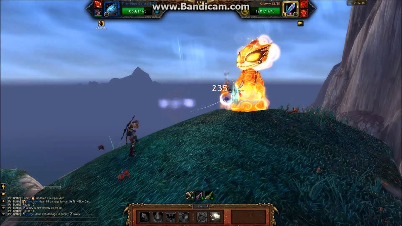 How-To: Burning Pandaren Spirit w/ Carry Pet