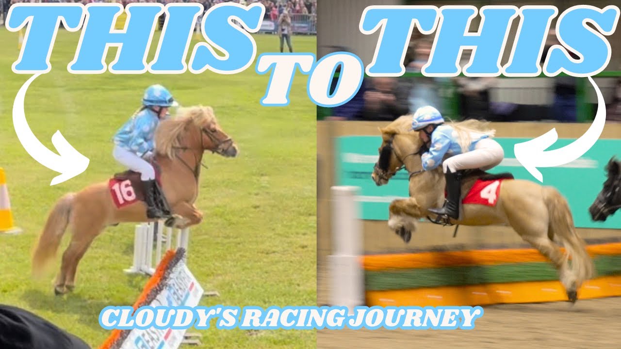 FROM THIS TO THIS!!! CLOUDY'S SHETLAND PONY GRAND NATIONAL RACING JOURNEY PROGRESS!