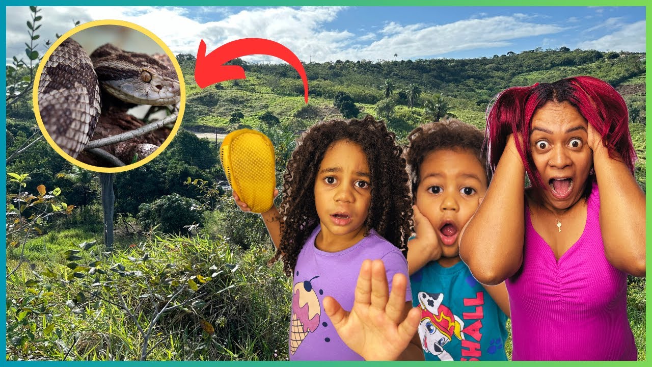 MARINA ACHOU UMA COBRA NO SÍTIO!!!