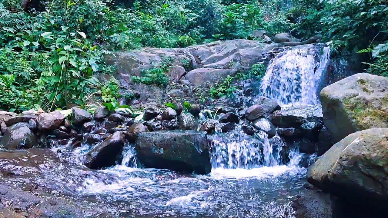 River Sounds to Soothe the Nervous System