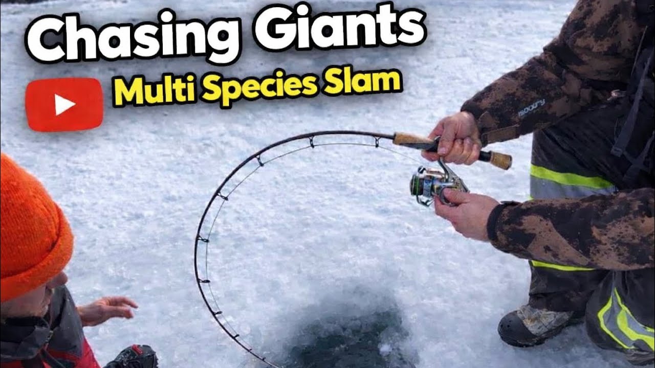 Lake Simcoe Early Ice Multispecies Fishing