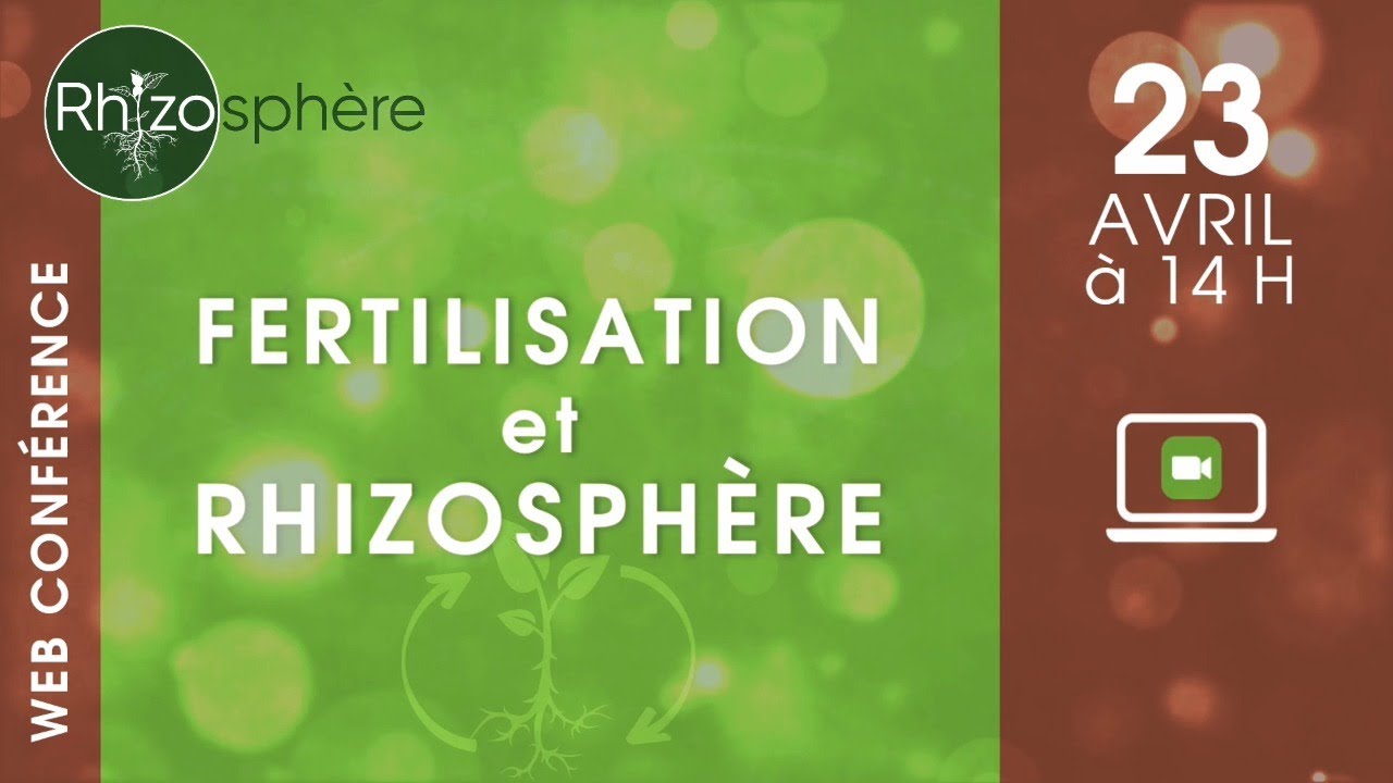 Rhizosphère - TIMAC AGRO France