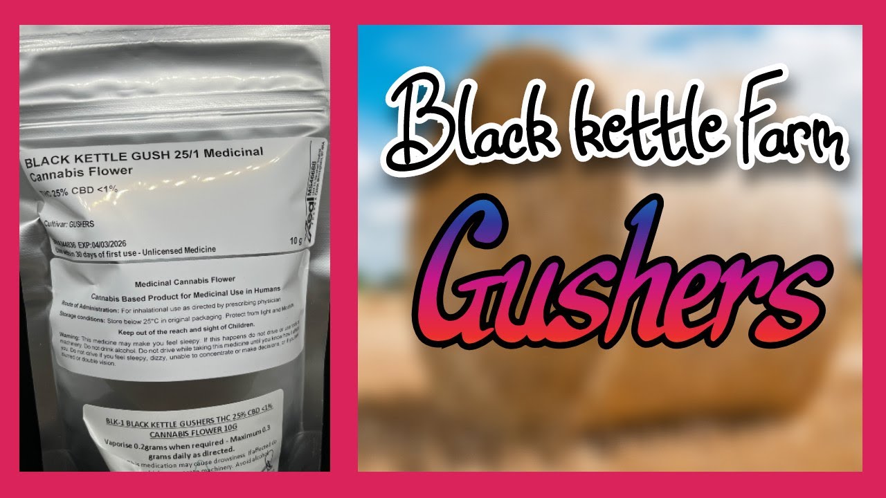 Black kettle Farms - Gushers | UK Medication Review 