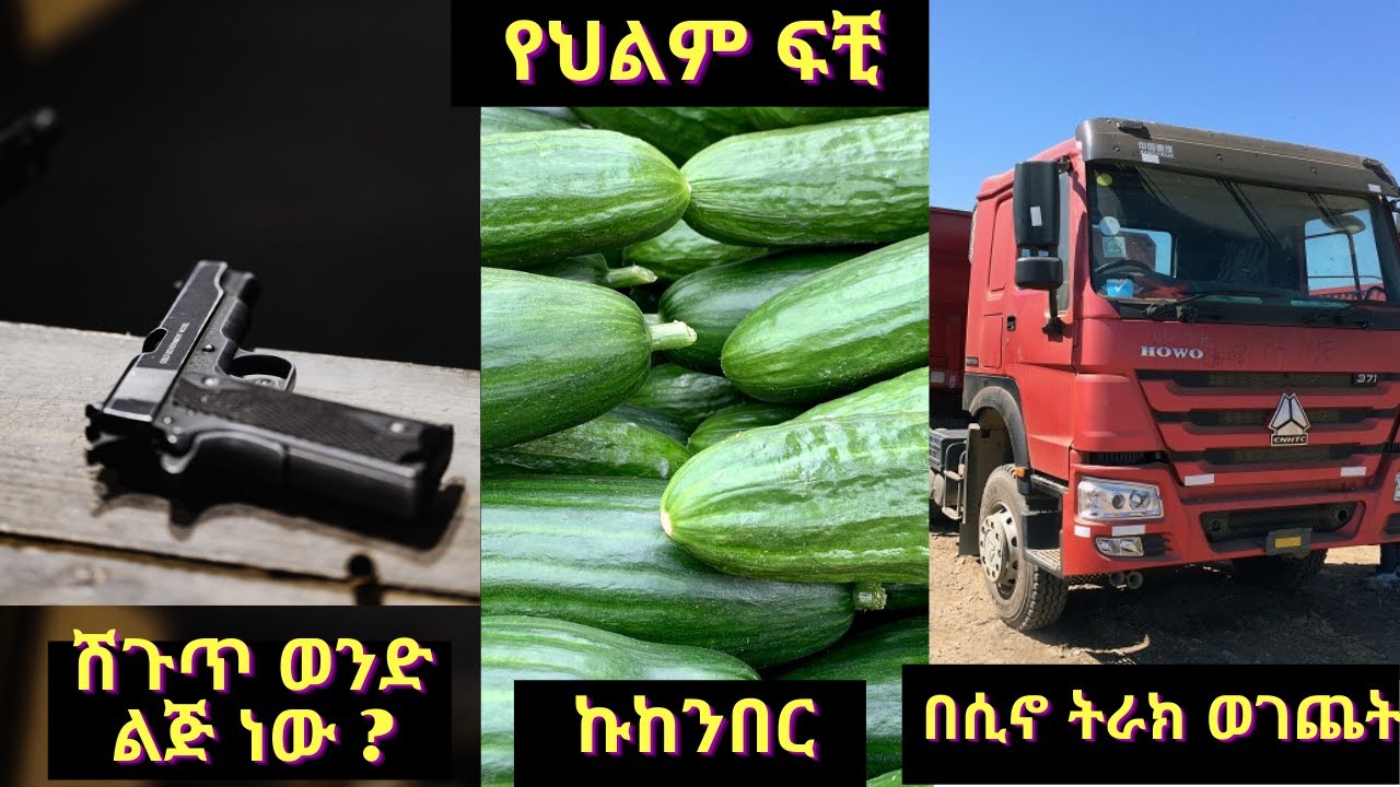 በሲኖ ትራክ መገጨት \ ኩከንበር \ ሽጉጥ ወንድ ልጅ ከሆነ ሽጉጥ ከመምጣቱ በፊት ወንድ ልጅ አይወለደም ማለት ነው Part One
