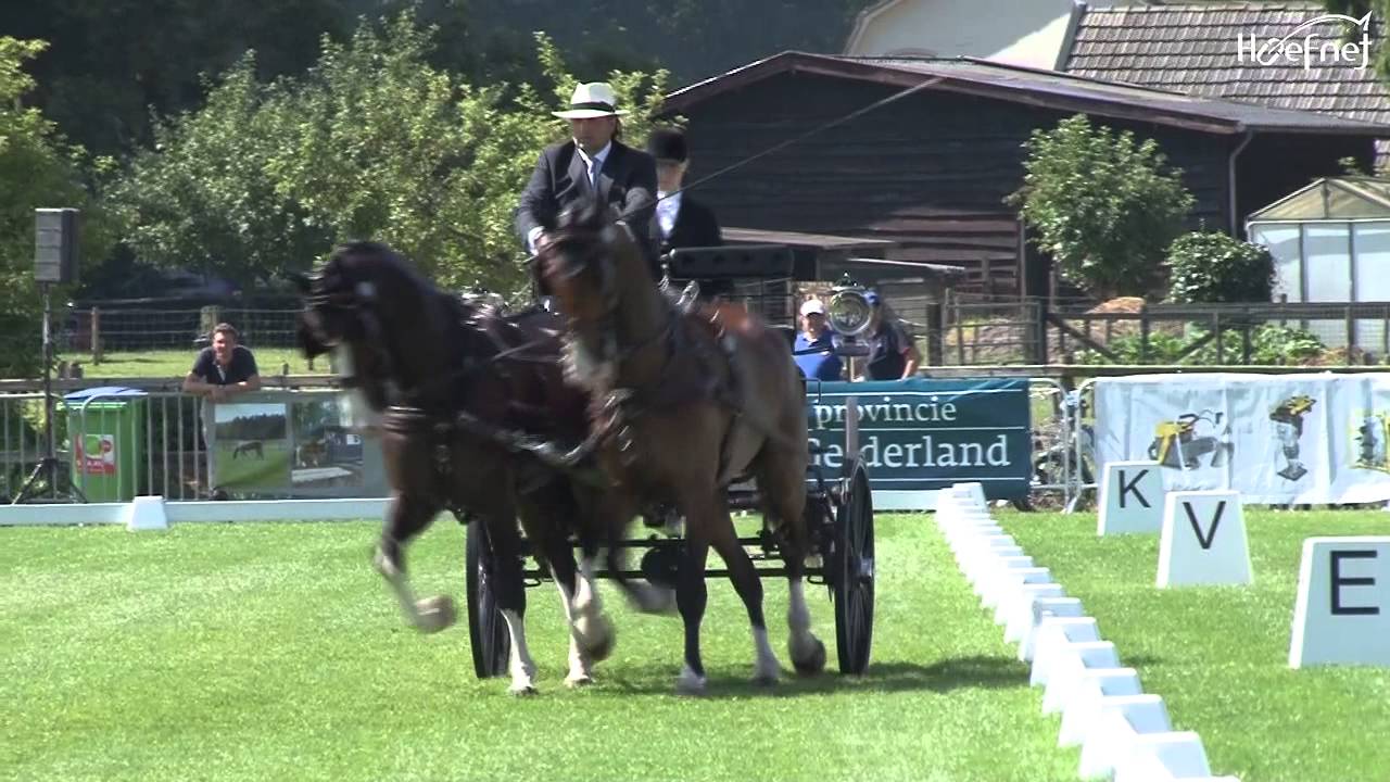 Claudio Fumagalli Dressage CAI Beekbergen 2013