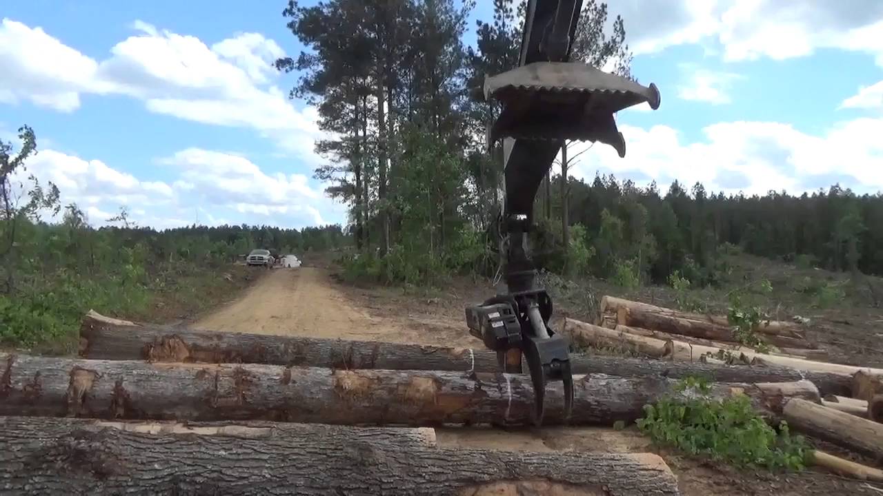 ROTOBEC grapple saw sawing up big oaks!
