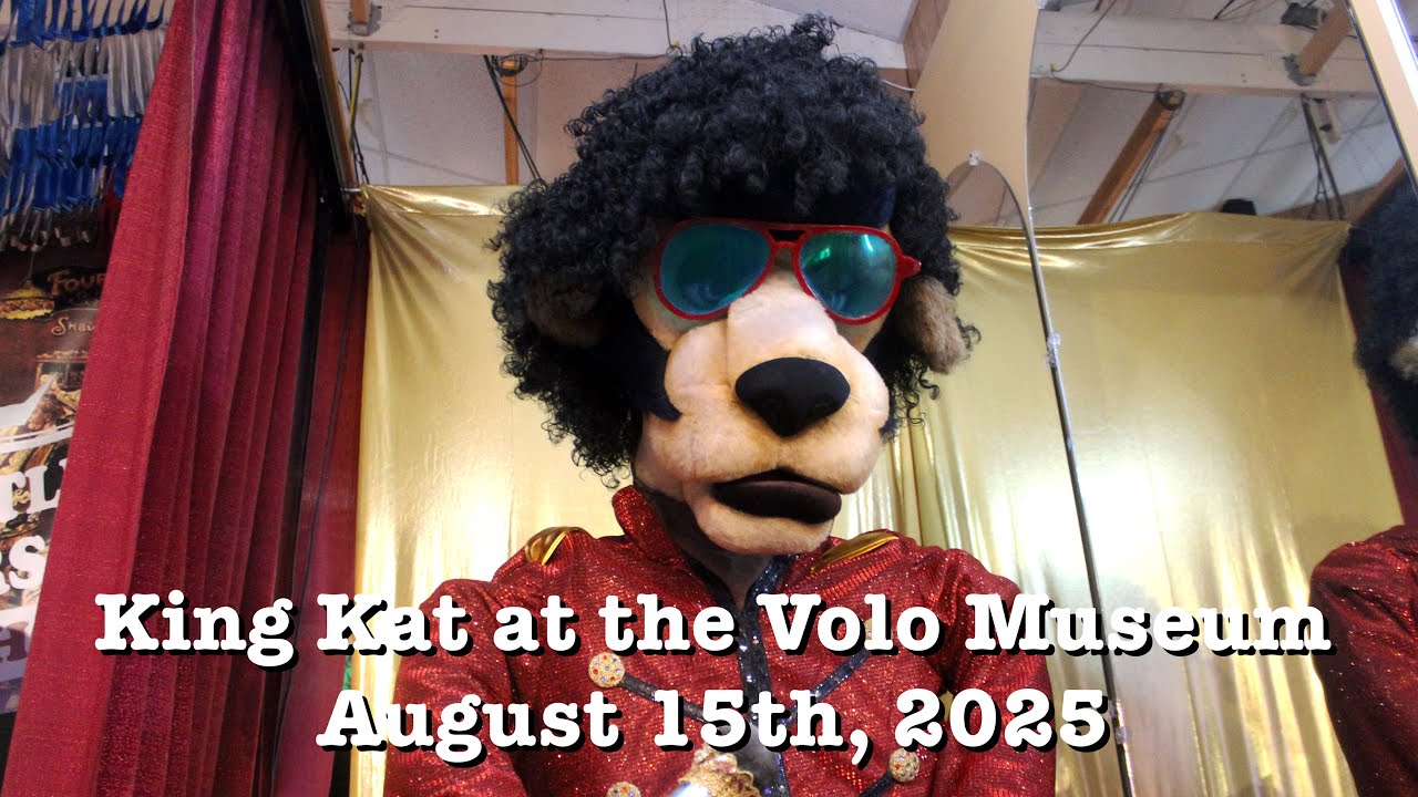 King Kat at the Volo Museum: August 15th, 2025