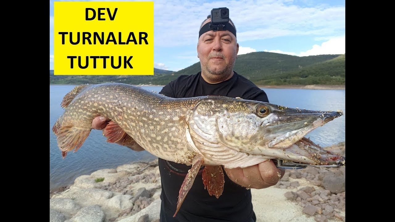 3 ГИГАНТСКИЕ ЩУКИ ЗА 1 ЧАС